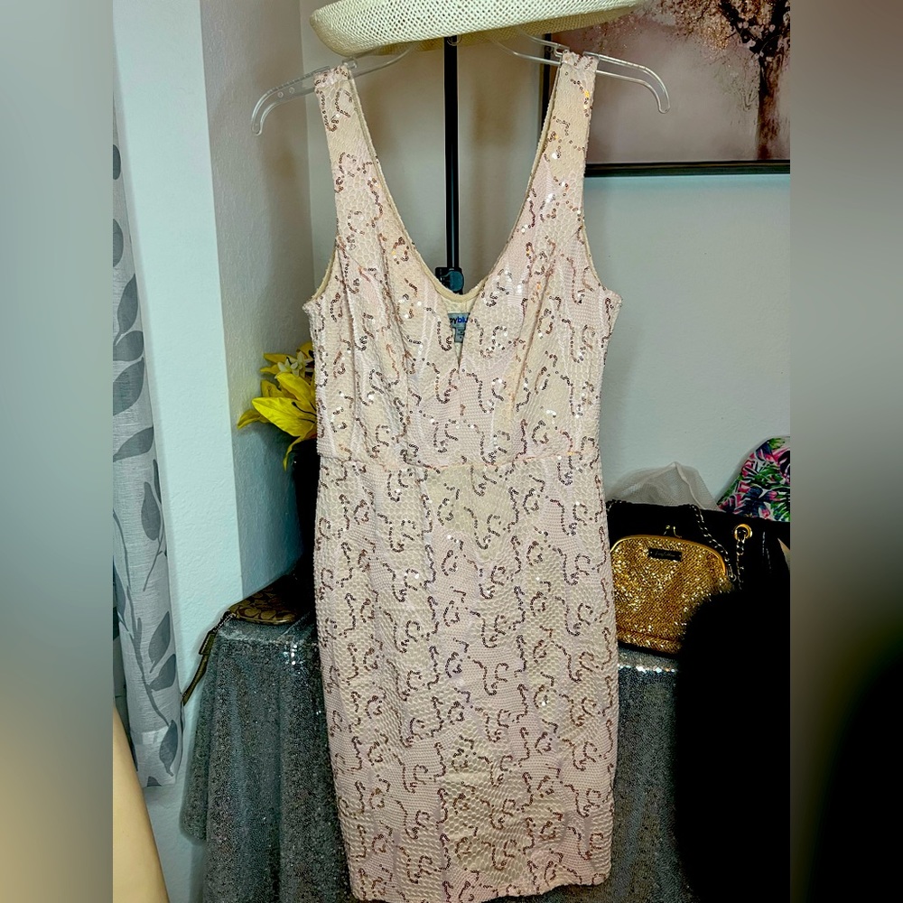 5 for $20 🌹 Pink Champagne sleeveless dress+ matching earrings